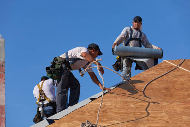 Best Emergency Roof Repair  in Glenwood City, WI
